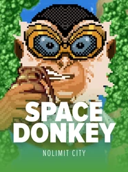 Space Donkey Cover